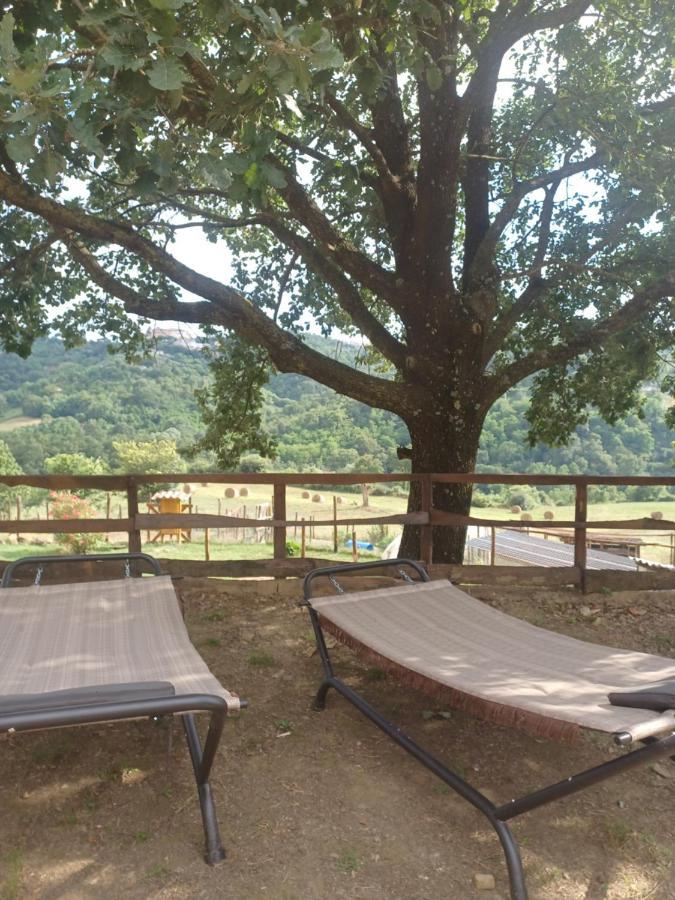 Agriturismo Cisogna Villa Anagni Kültér fotó