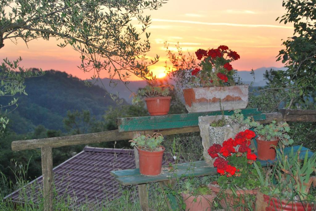 Agriturismo Cisogna Villa Anagni Kültér fotó