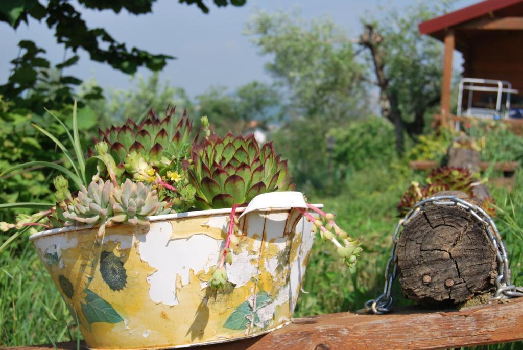 Agriturismo Cisogna Villa Anagni Kültér fotó