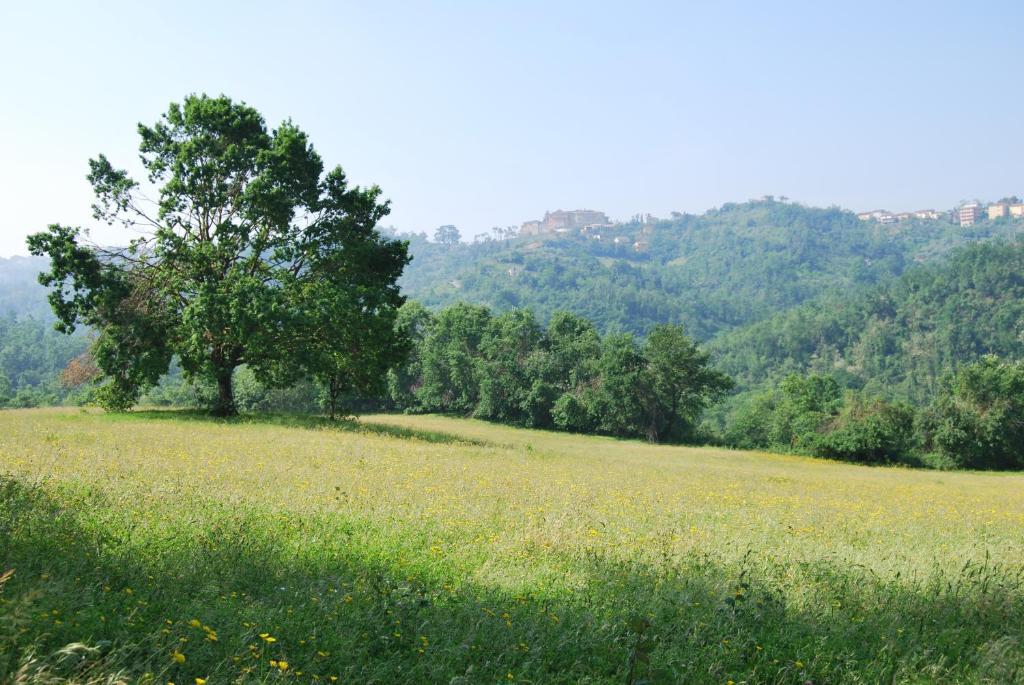 Agriturismo Cisogna Villa Anagni Kültér fotó