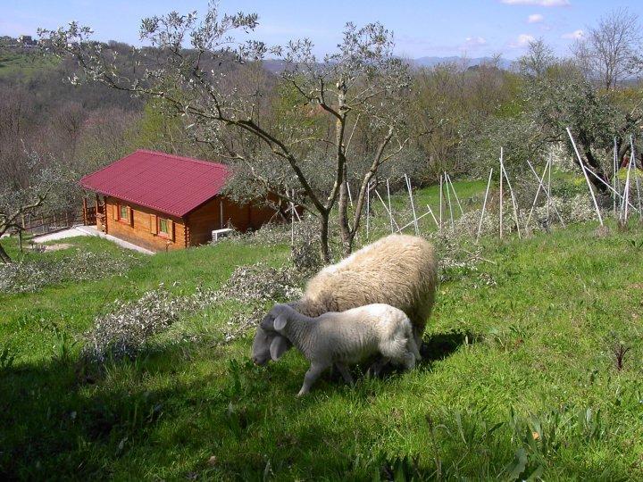 Agriturismo Cisogna Villa Anagni Kültér fotó