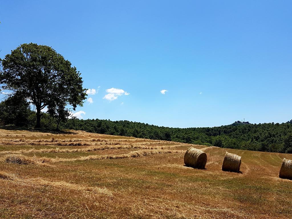 Agriturismo Cisogna Villa Anagni Kültér fotó