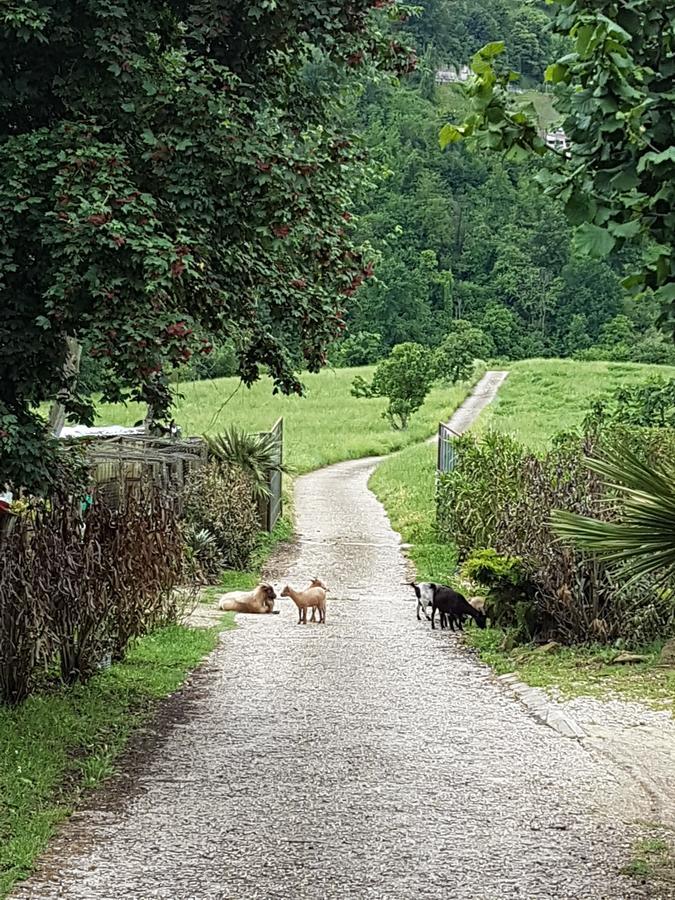 Agriturismo Cisogna Villa Anagni Kültér fotó