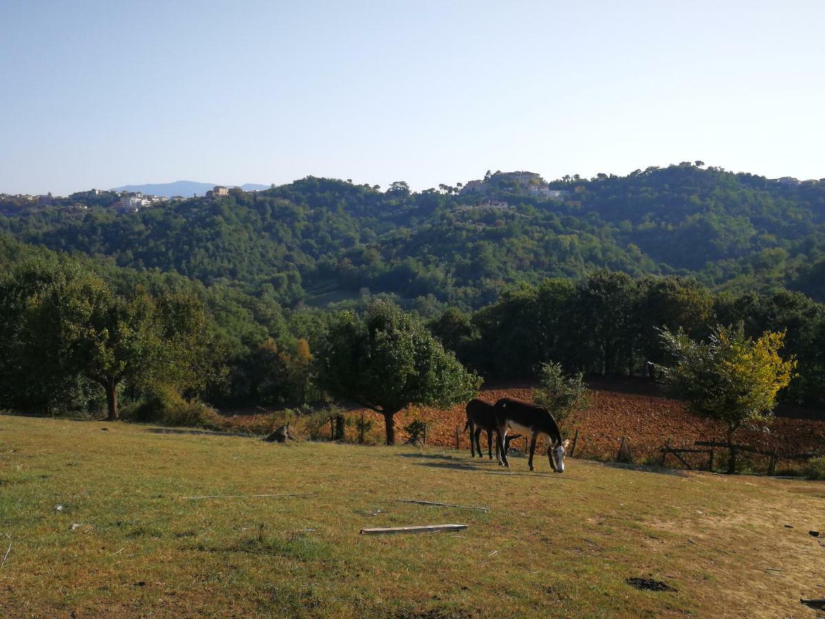 Agriturismo Cisogna Villa Anagni Kültér fotó